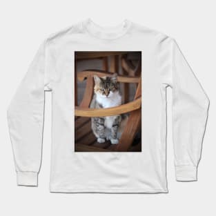 Adorable Tabby Cat Long Sleeve T-Shirt